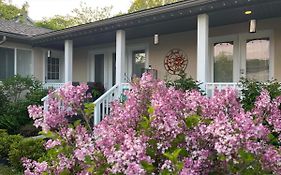 Summer Solstice Bed & Breakfast